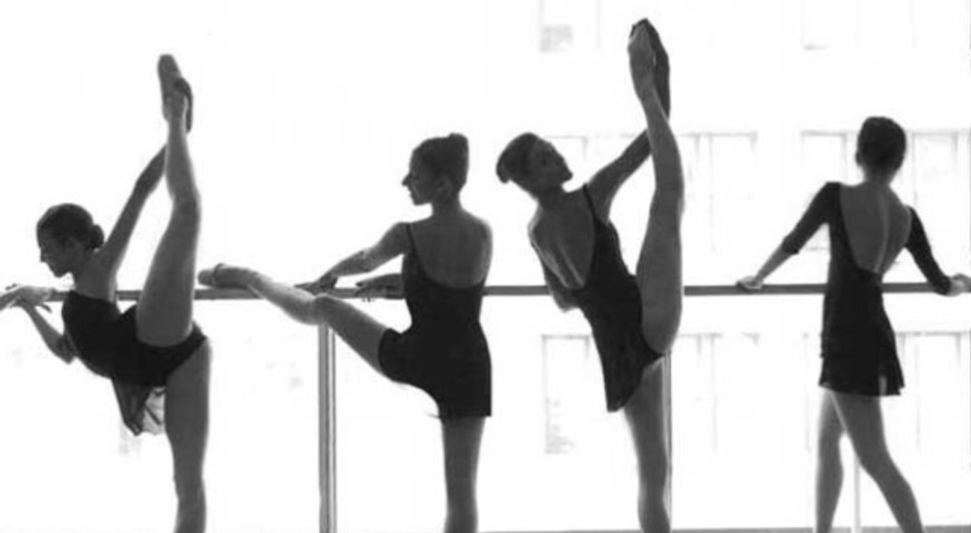  강의 관련 사진