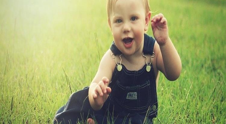  강의 관련 사진