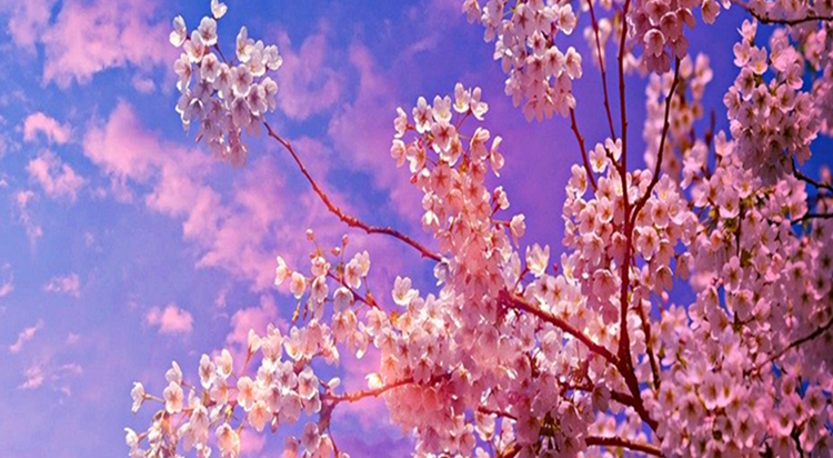  강의 관련 사진