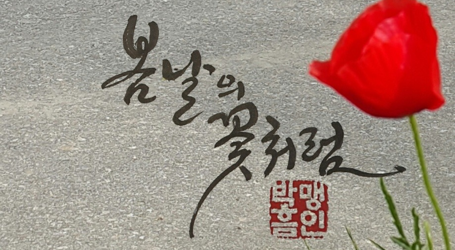 멋스런 캘리그라피 이미지