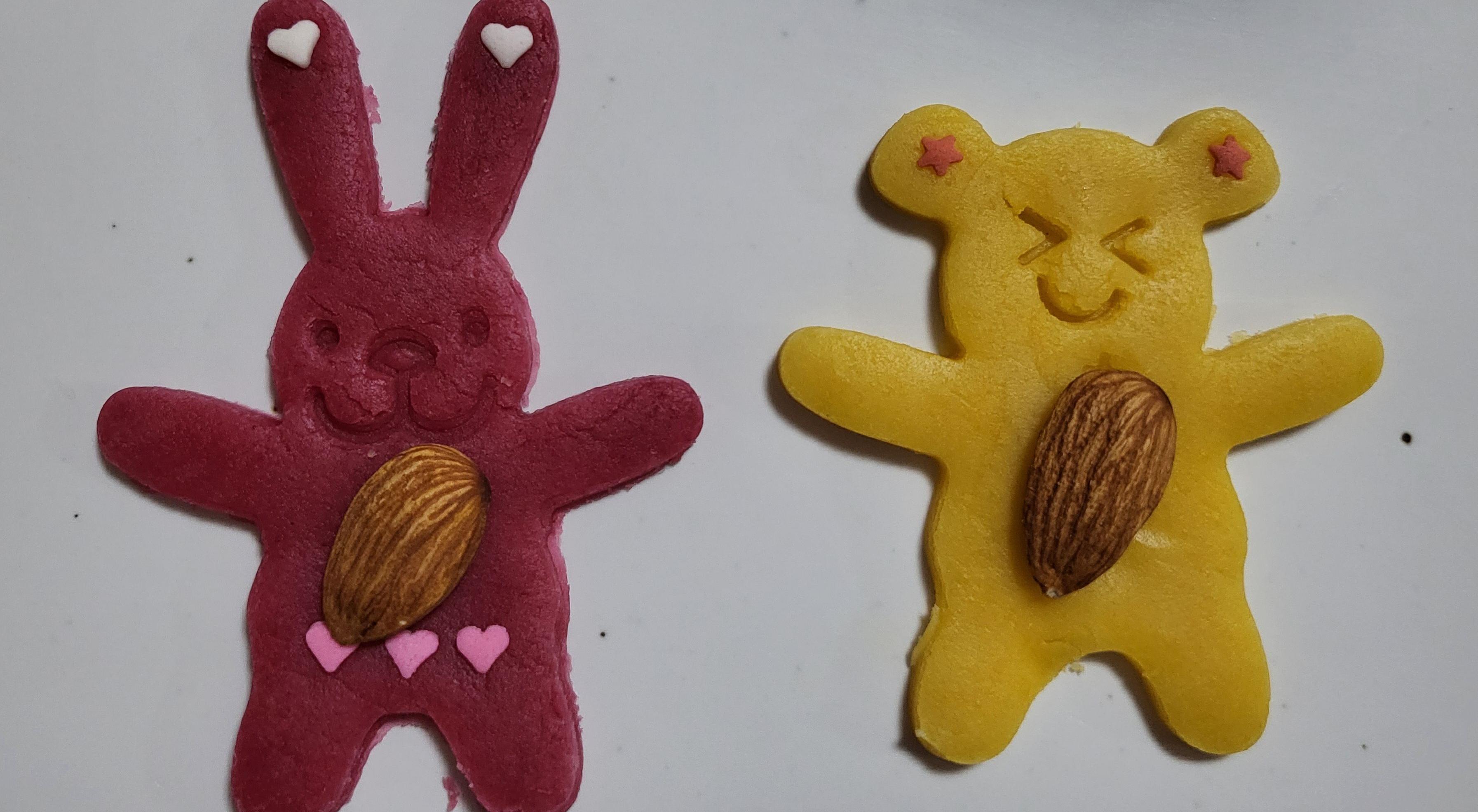  강의 관련 사진