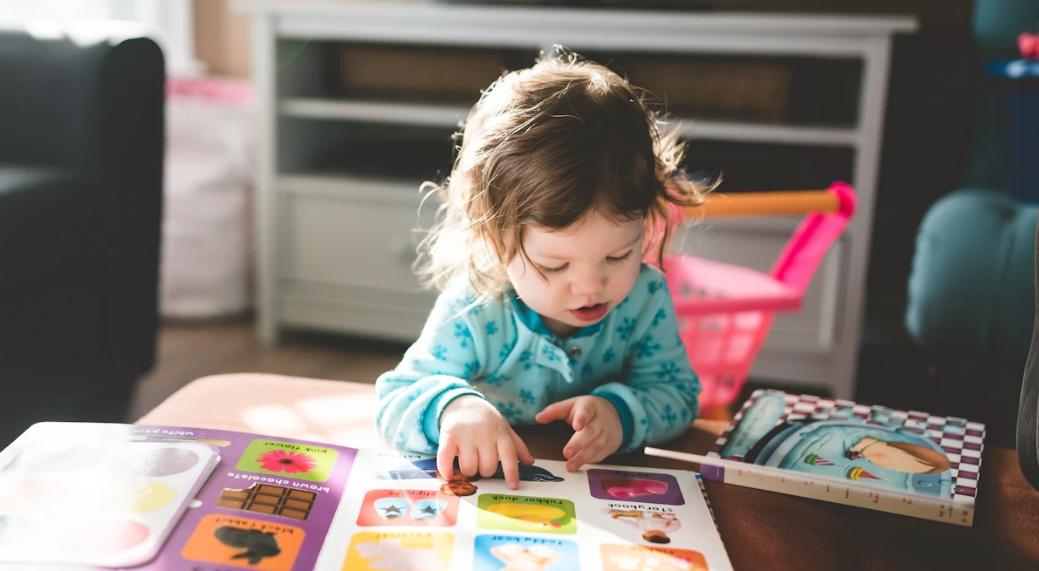  강의 관련 사진