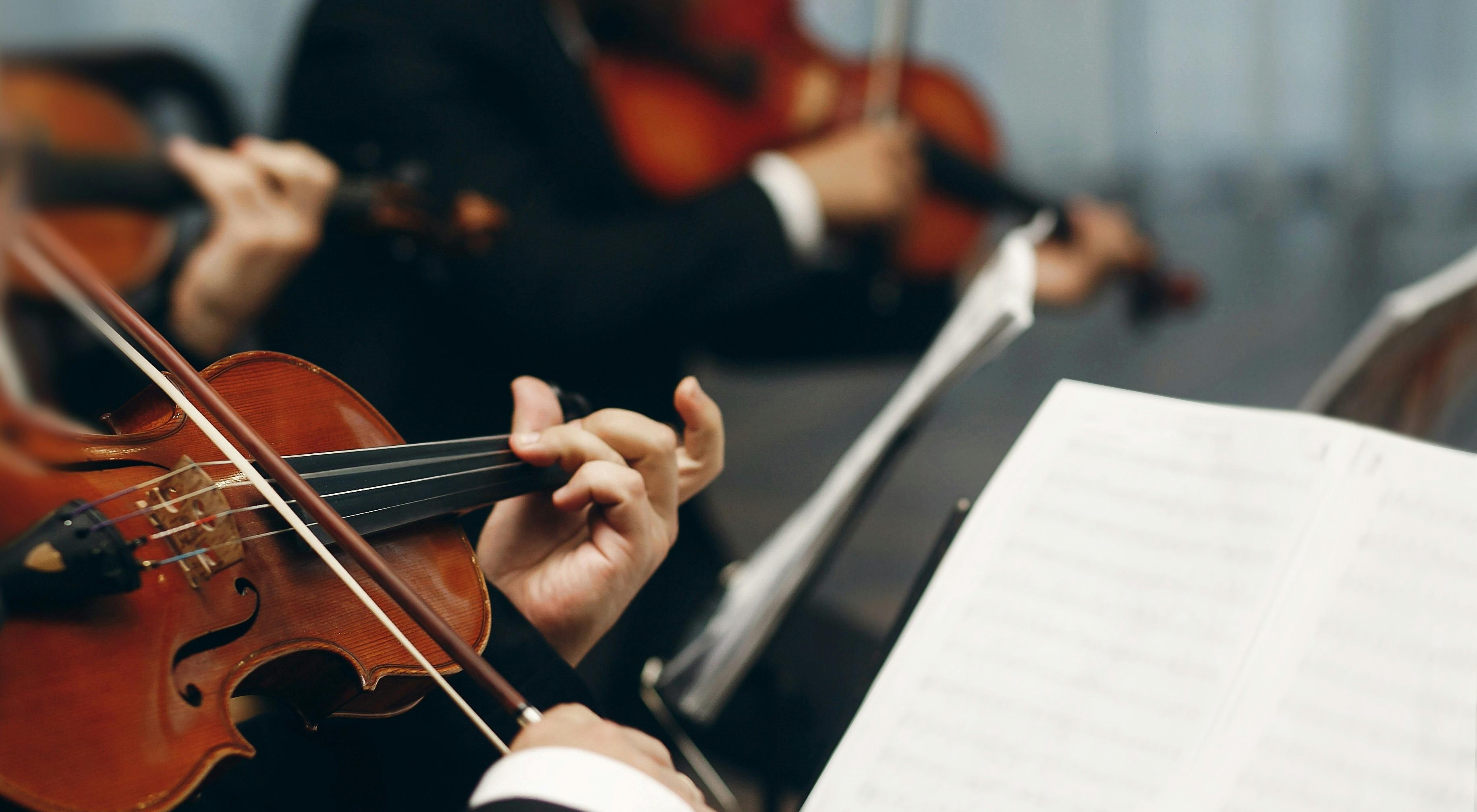  강의 관련 사진