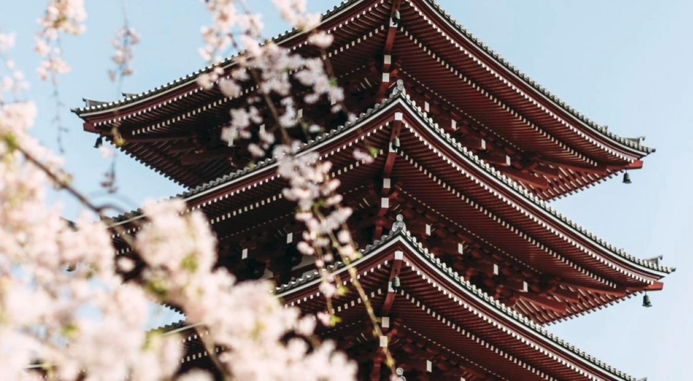  강의 관련 사진