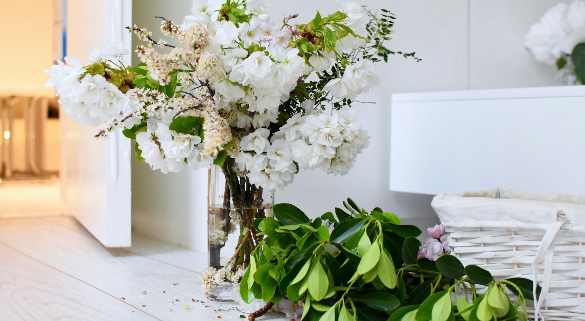  강의 관련 사진