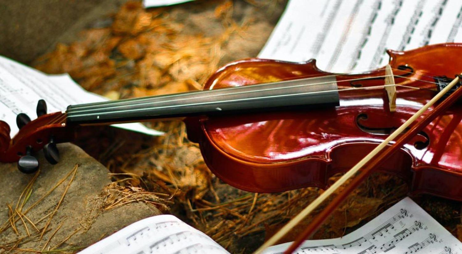  강의 관련 사진