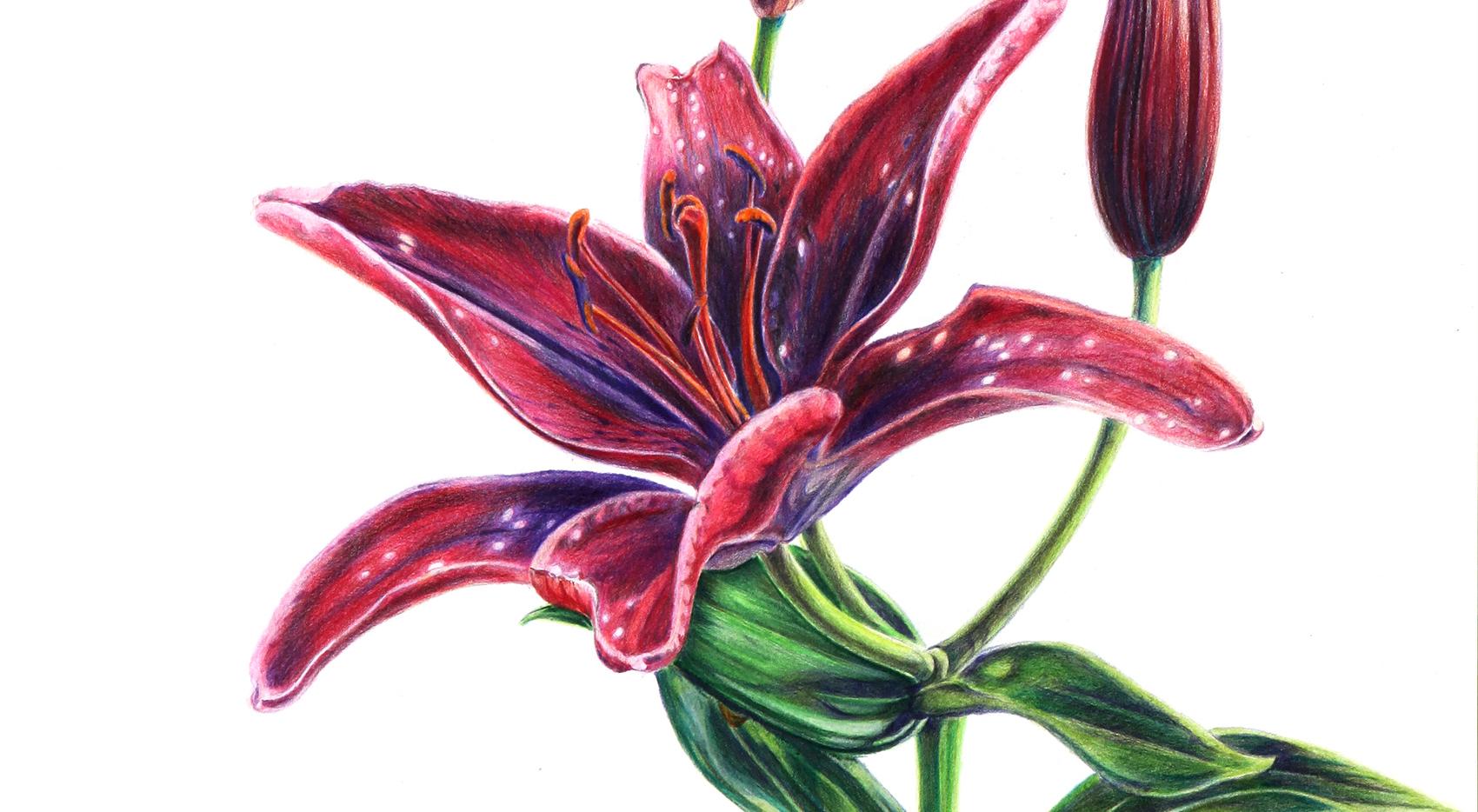  강의 관련 사진