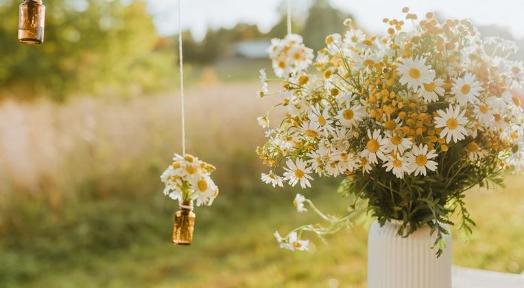  강의 관련 사진