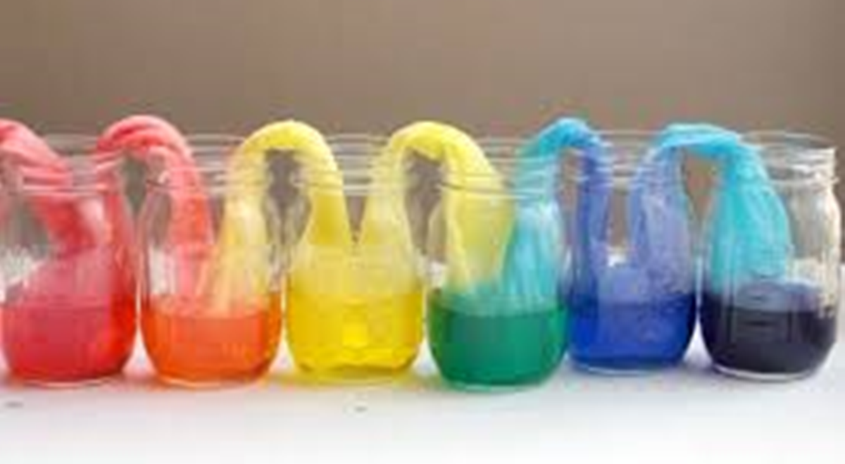  강의 관련 사진