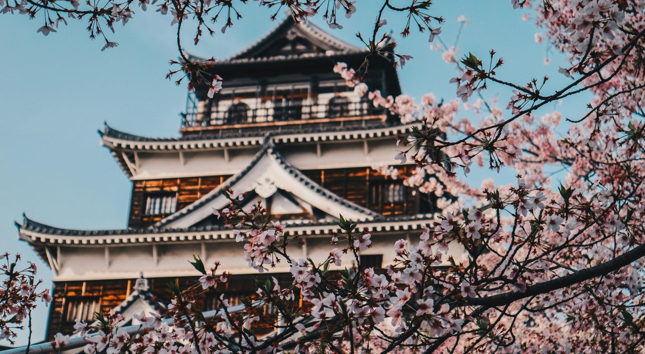  강의 관련 사진