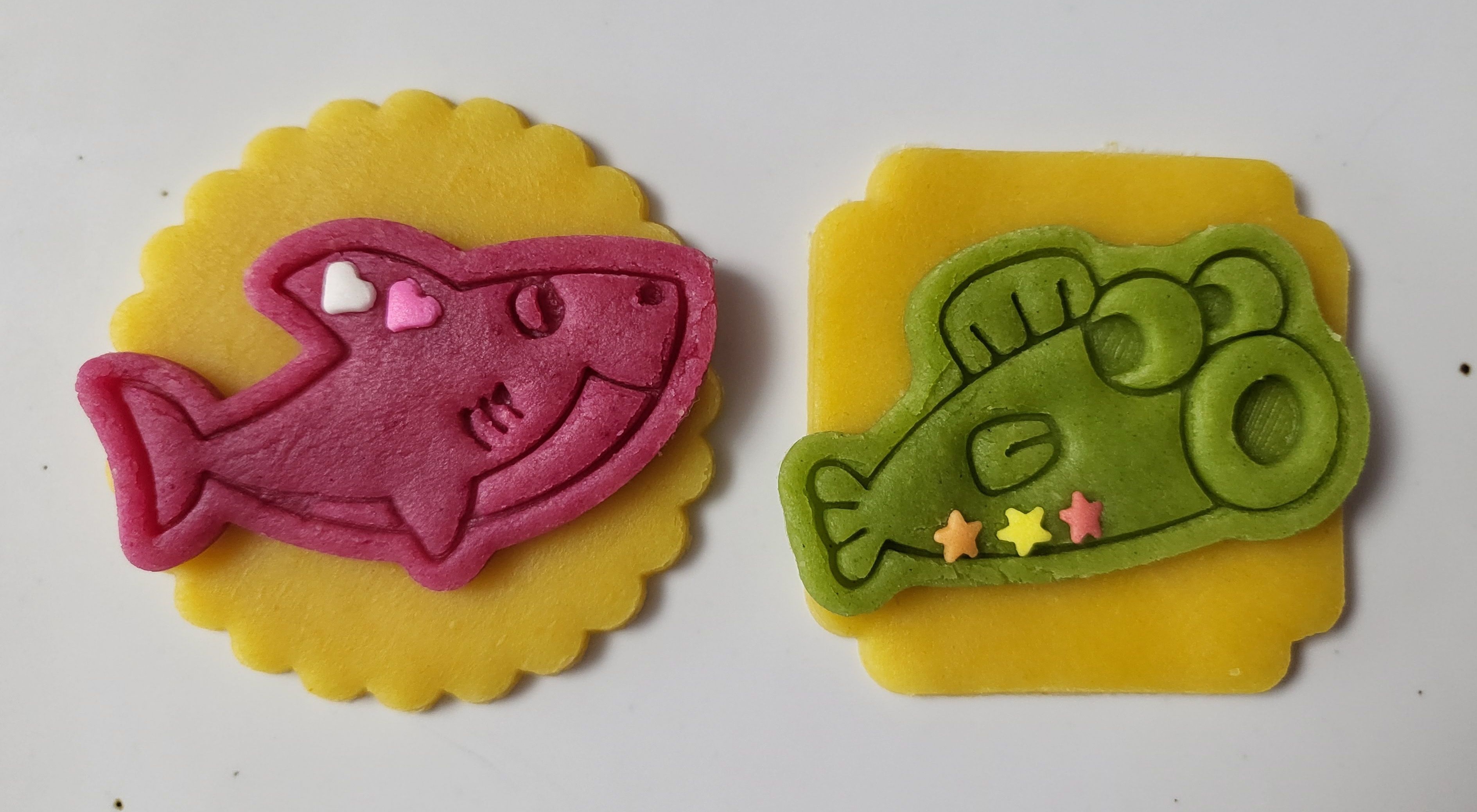  강의 관련 사진