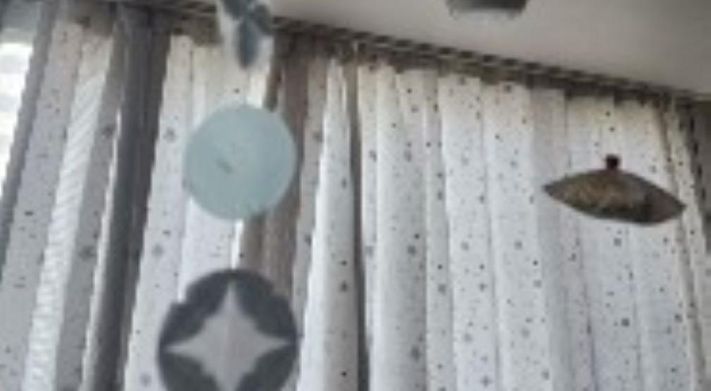  강의 관련 사진