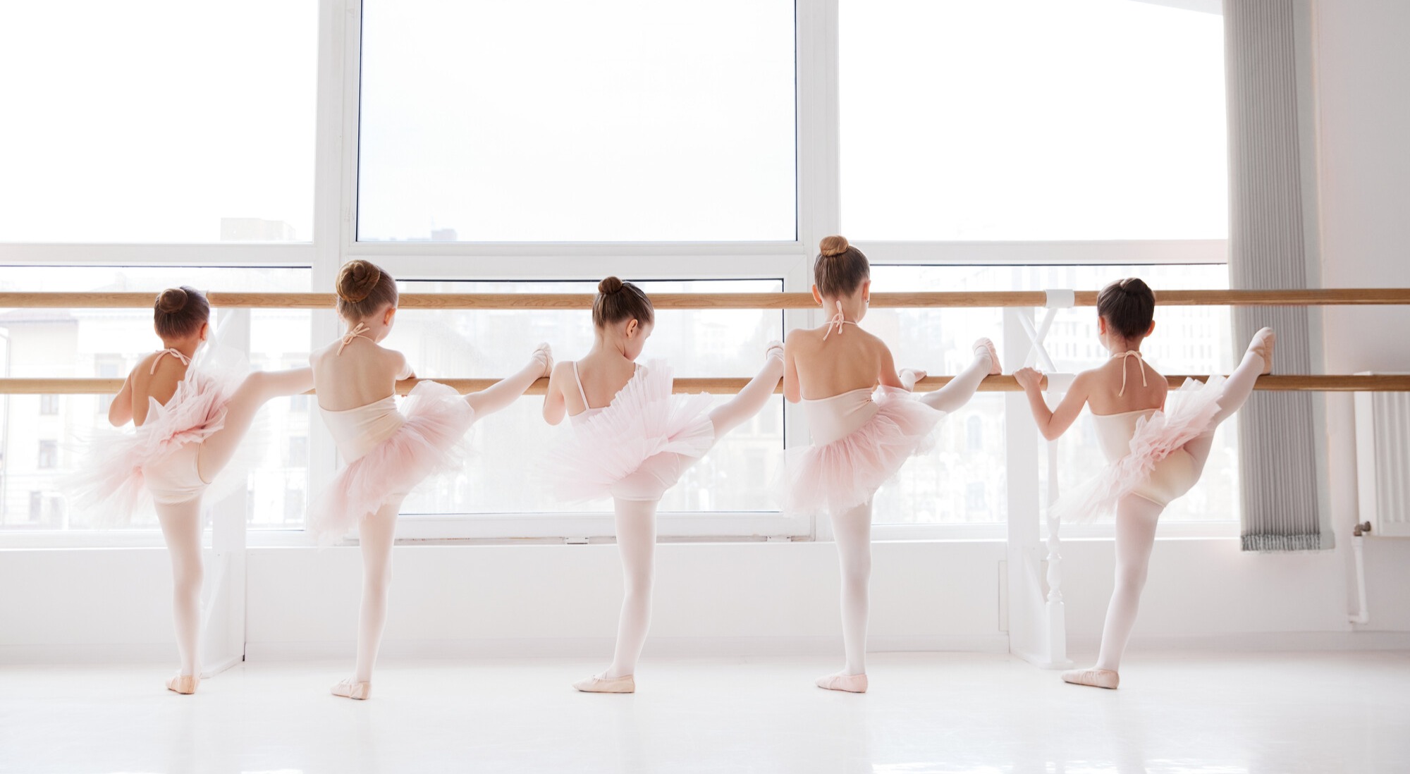  강의 관련 사진