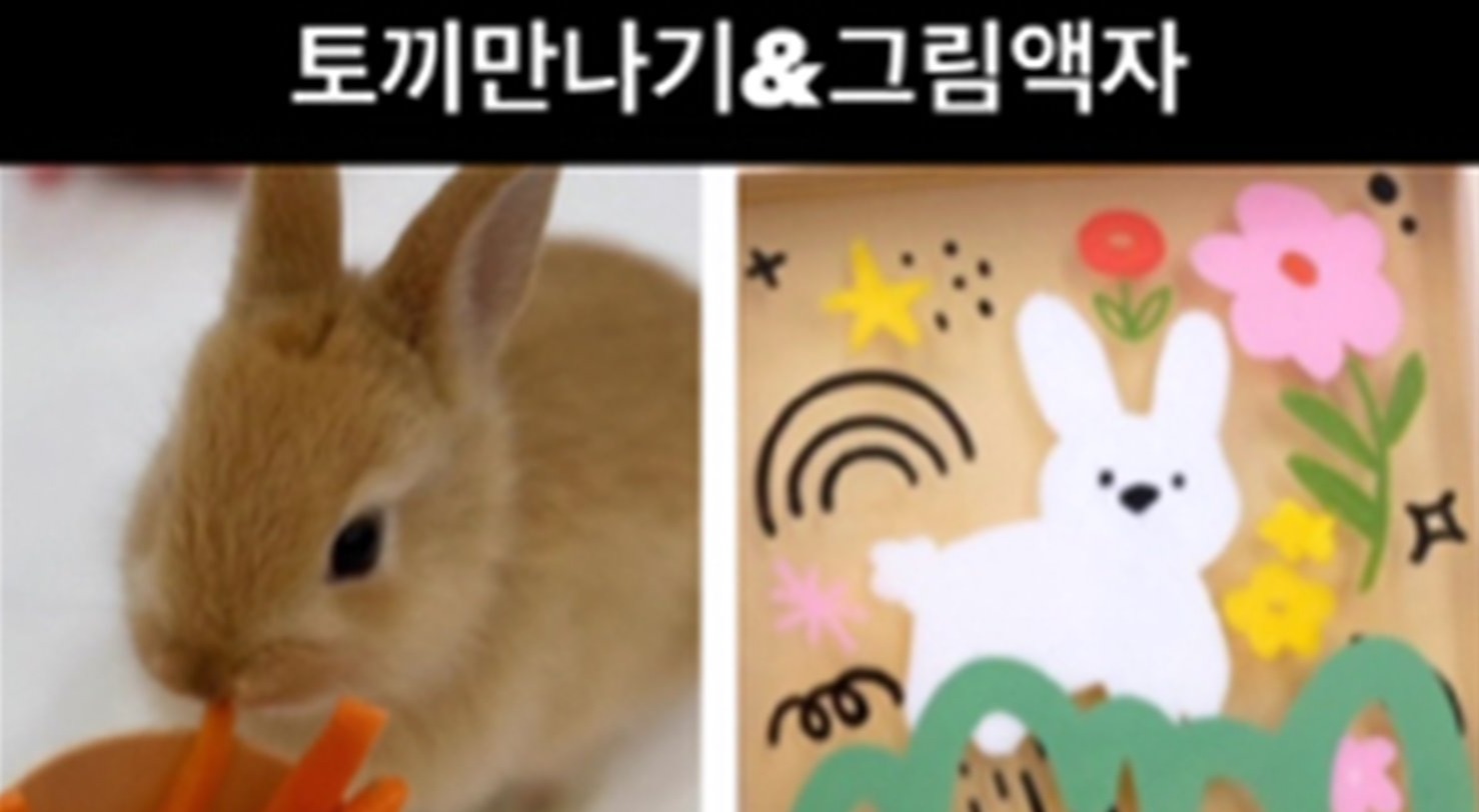  강의 관련 사진