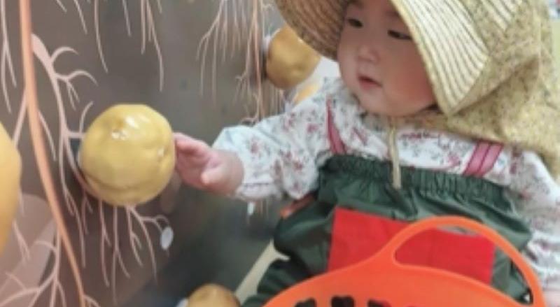 가을 오감놀이 리틀자이언트 /10회 이미지