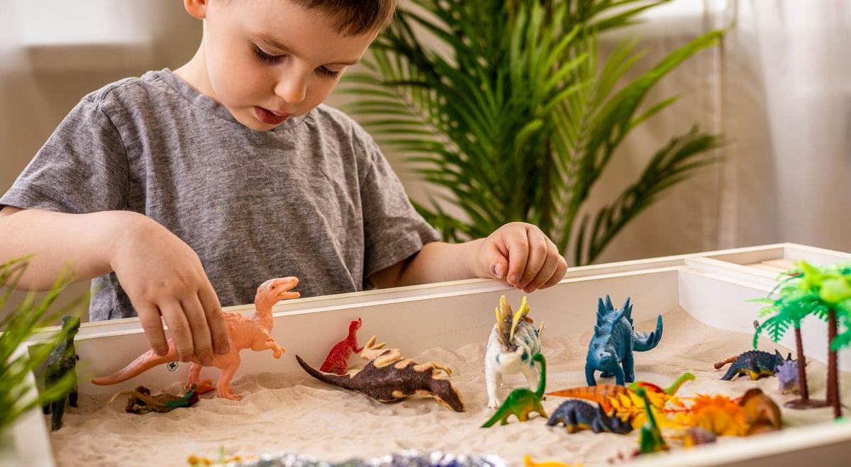  강의 관련 사진