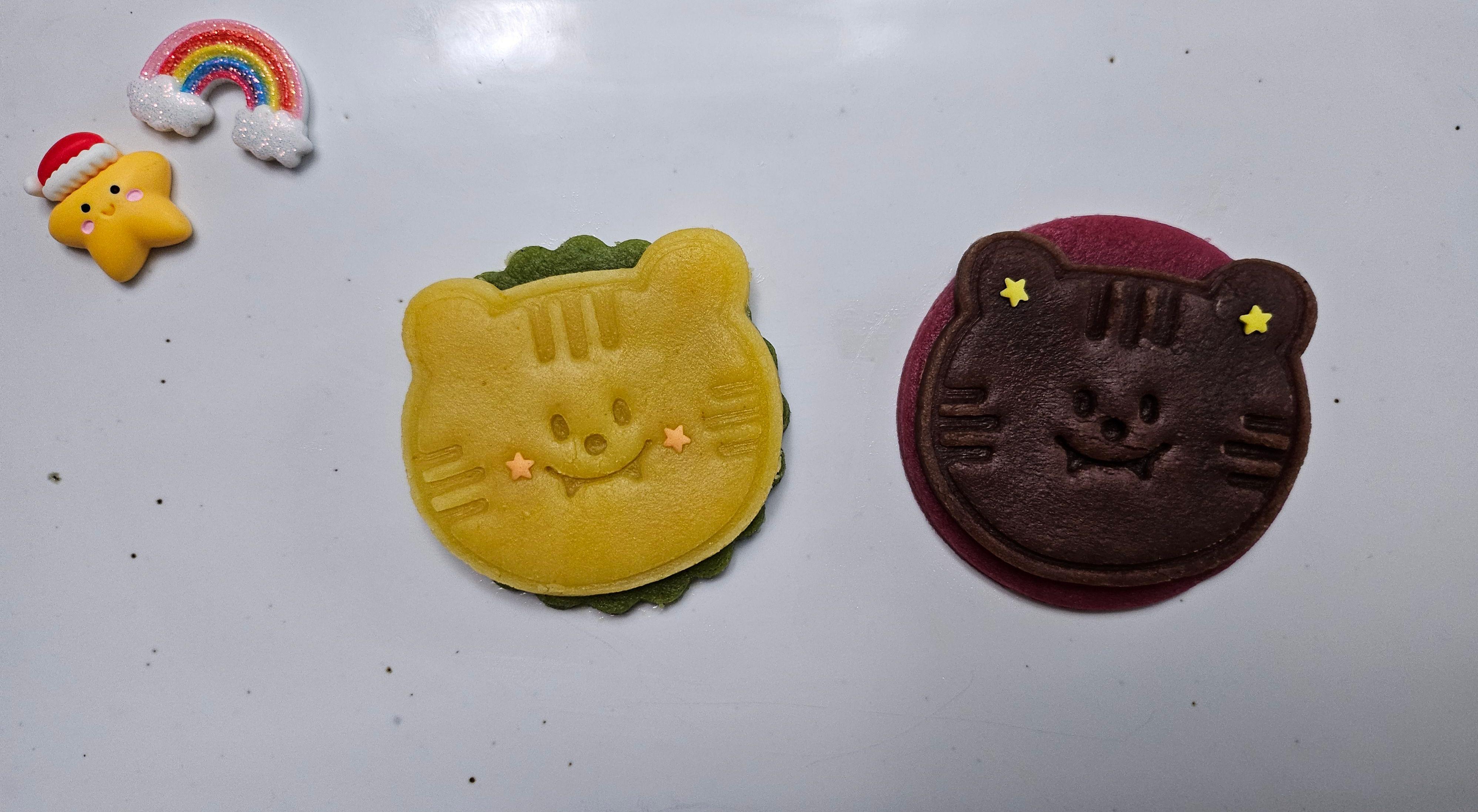  강의 관련 사진