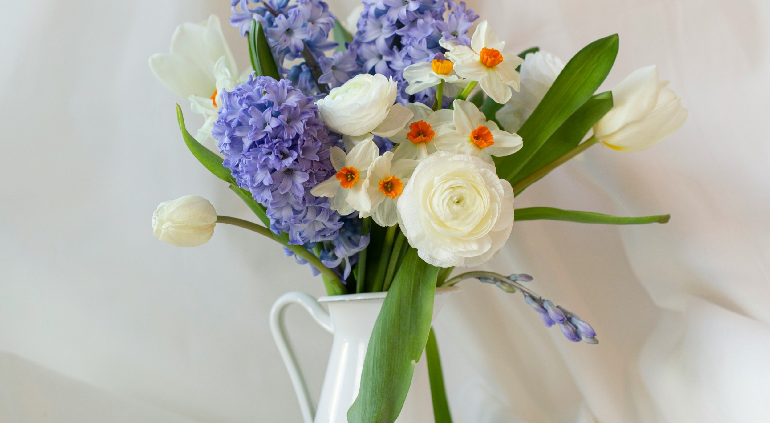  강의 관련 사진