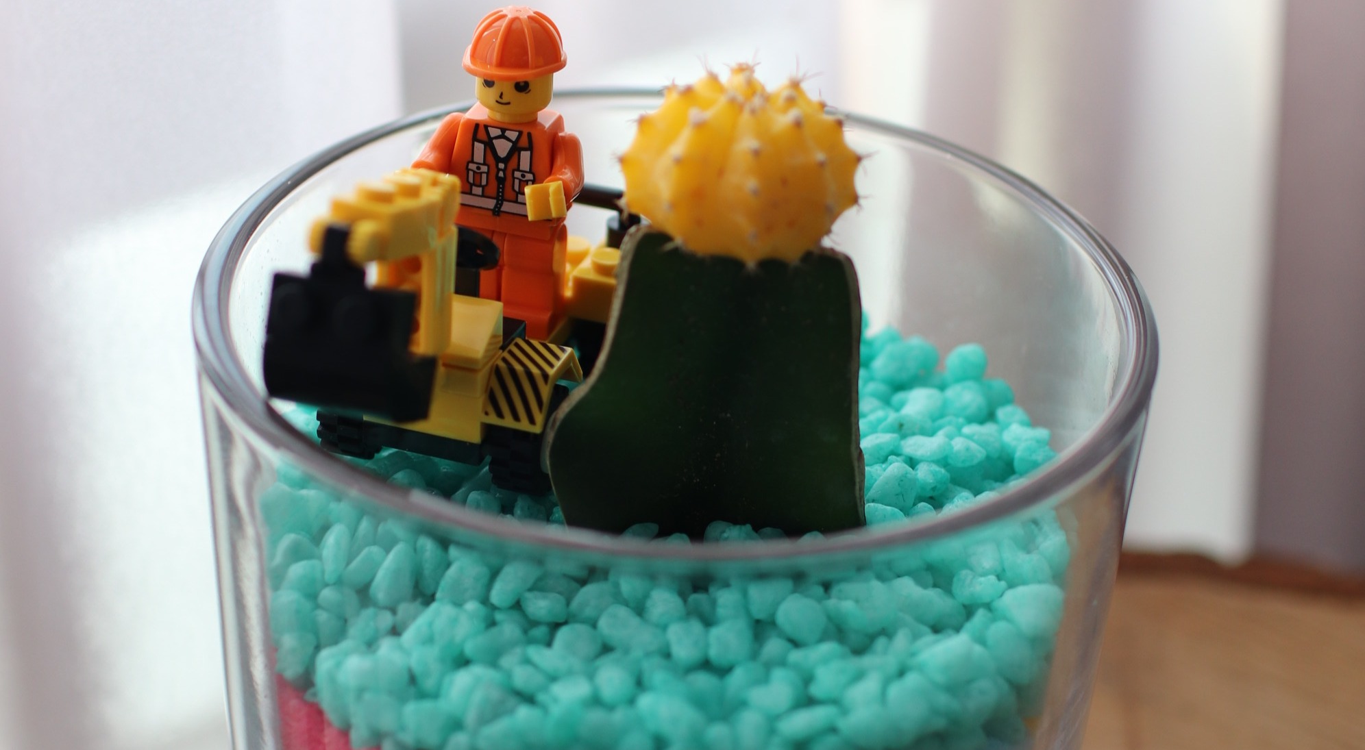  강의 관련 사진