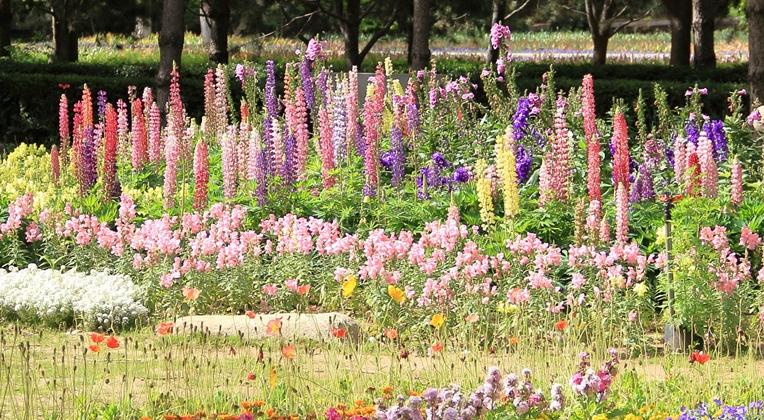  강의 관련 사진