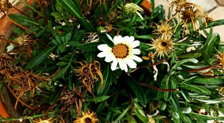  강의 관련 사진