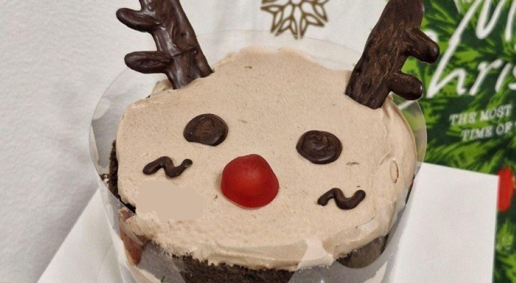  강의 관련 사진