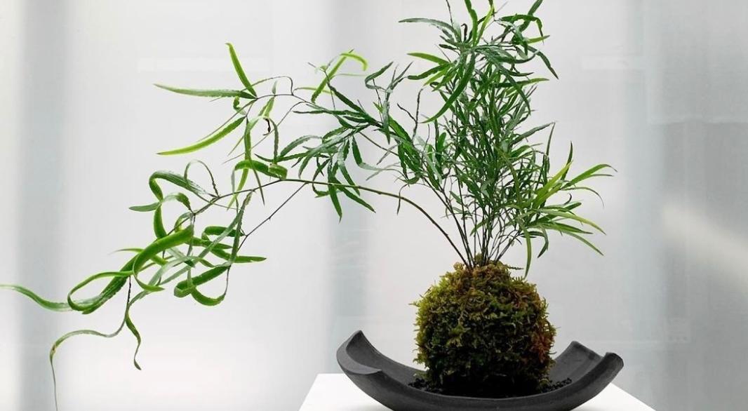  강의 관련 사진