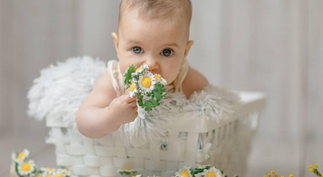  강의 관련 사진