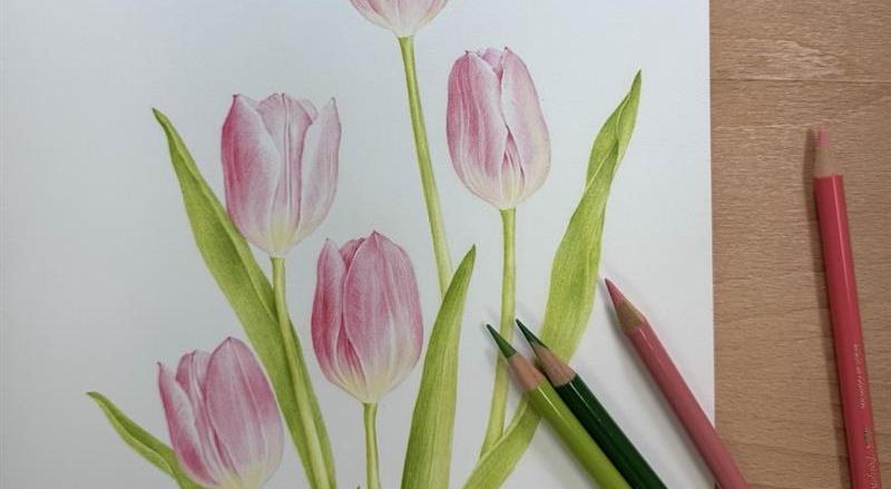 색연필 꽃그림, 보타니컬 아트