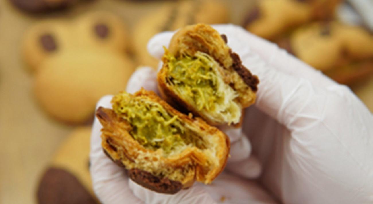  강의 관련 사진