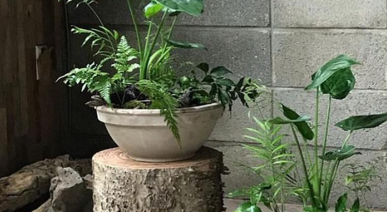  강의 관련 사진