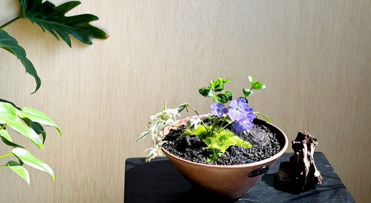  강의 관련 사진