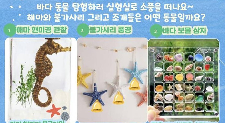  강의 관련 사진