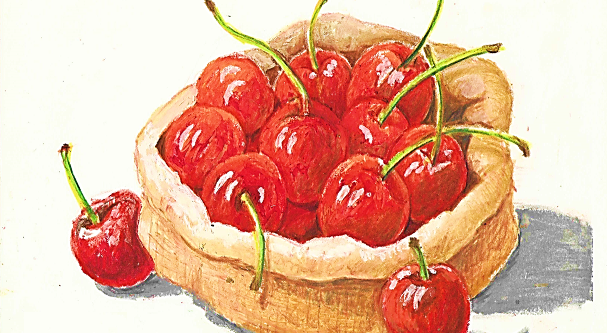 어반스케치, 꽃그림, 오일파스텔(11회) 이미지