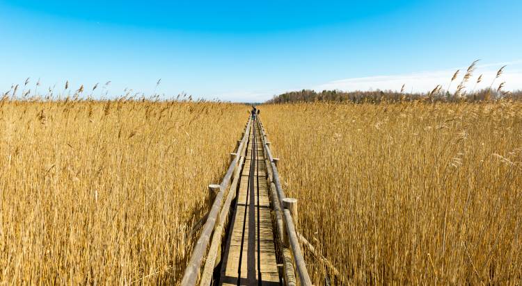 < 갈대밭 포토존 >
인증하면 선물이 팡팡!
SNS EVENT 사진