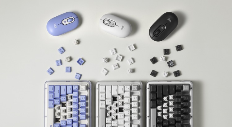 [POP-UP STORE]
로지텍 사진