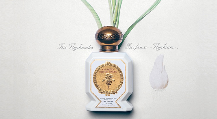 [POP-UP]
오피신 유니버셀 불리 사진