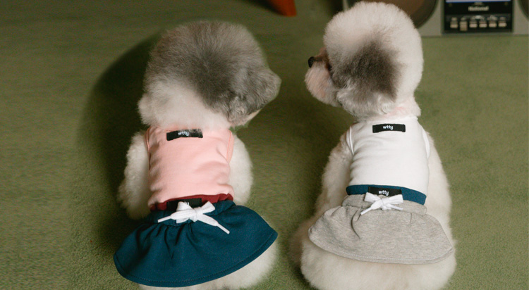 [POP-UP STORE]
위드토리 사진