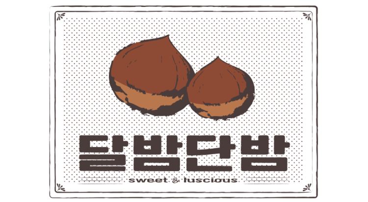 달밤단밤 사진