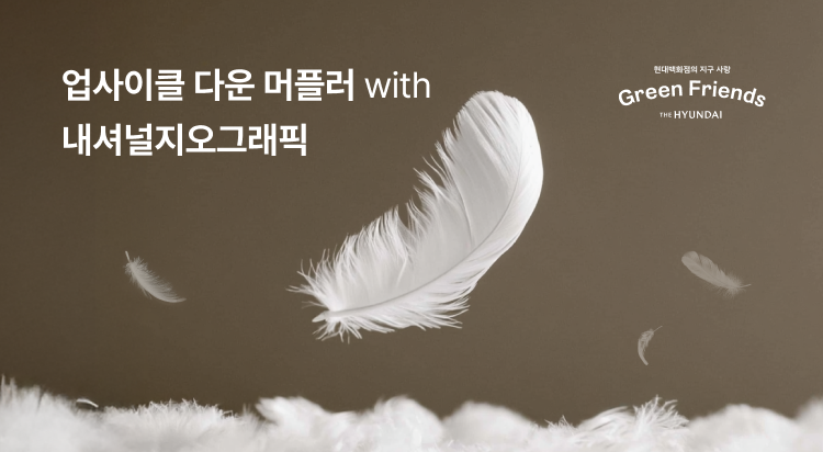 따뜻한 마음을 모아
새롭게, 다시 두르다 이미지