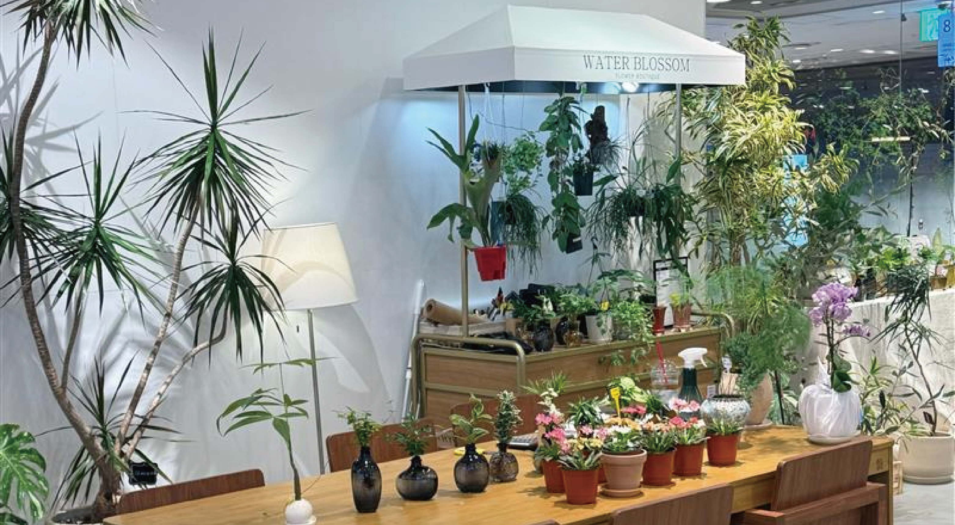 [POP-UP]
워터블라썸 사진