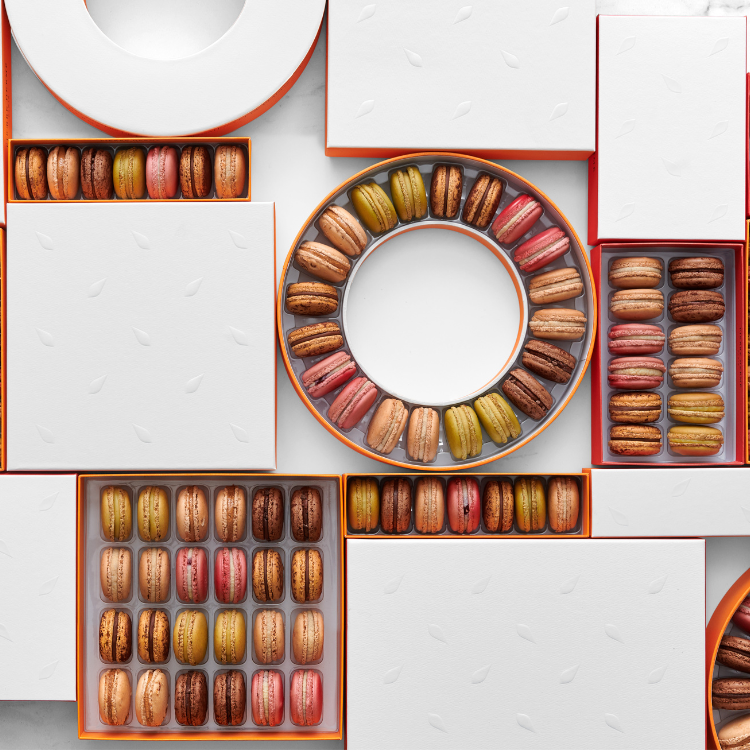 [POP-UP]
피에르에르메 상세 이미지