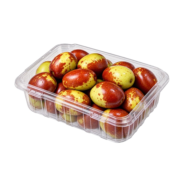 500g 이미지