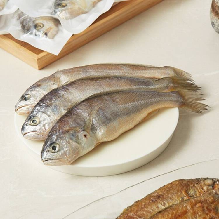 2kg*20미
