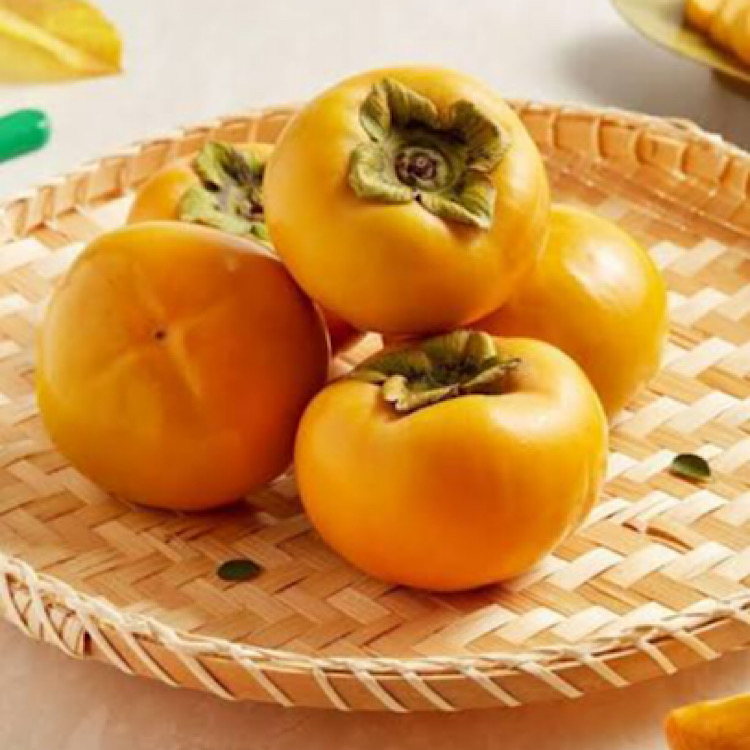 [1차 15개한정/1인 1개]
[2차 15개한정/1인 1개]