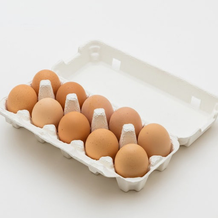 [1차 25개한정/1인 1개]
[2차 25개한정/1인 1개]