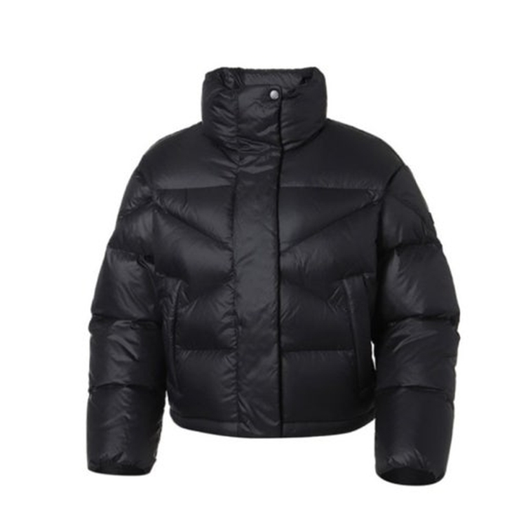 도로시 미들다운