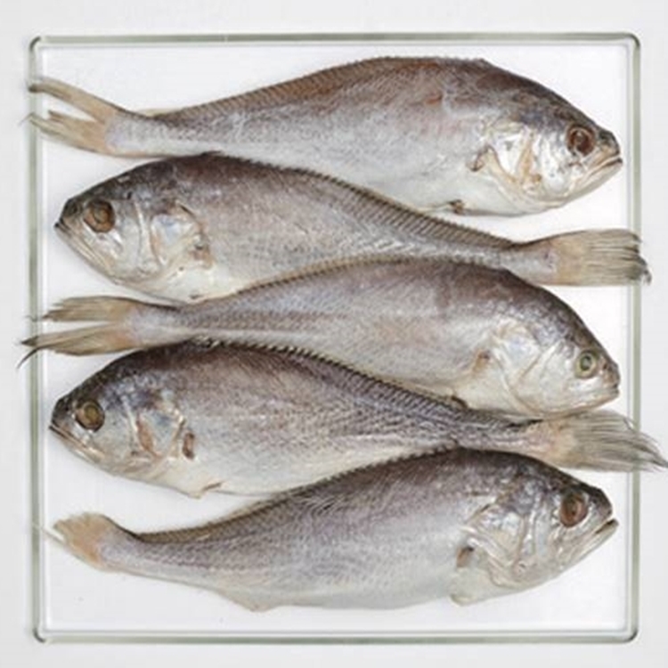 1.6kg / 10미