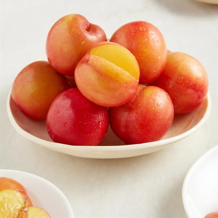 900g / 국내산