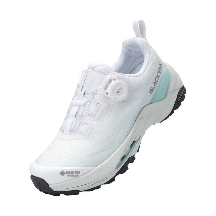 다이나믹 스텝 GTX